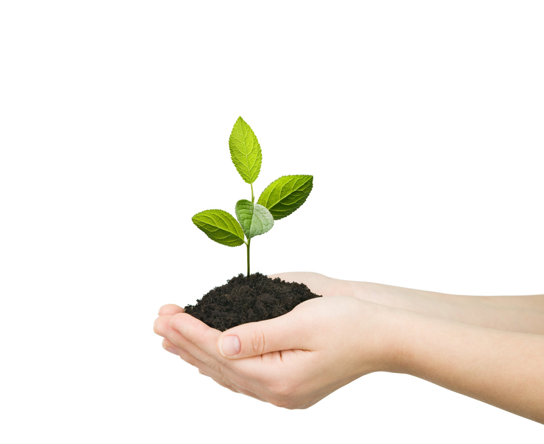ESG & why it matters